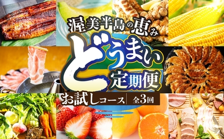 渥美半島の恵み どうまい 定期便 全3回 お試しコース ( うなぎ 豚肉 サーモン) 青うなぎ みかわポーク 渥美プレミアムラスサーモン ご当地 人気 頒布会