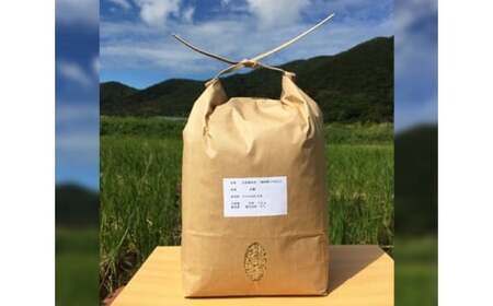 自然栽培のお米 3kg(玄米) / 栽培期間中農薬不使用 安心 愛知県 特産品 産地直送 田原市 渥美半島