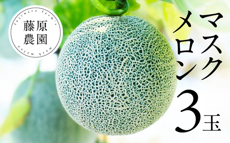 �����_���@�A�[���X�������@�R��