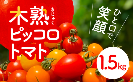 ピッコロトマト1.5kg