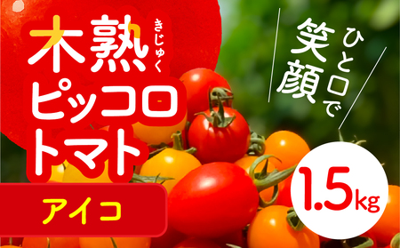 ピッコロトマトアイコ1.5kg