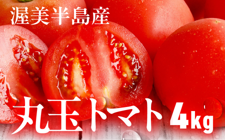 渥美半島産 丸玉トマト 4kg |トマト とまと サラダ サンドイッチ 野菜 やさい 贈答 プレゼント 贈り物 甘い おいしい 冬 春 JA 農協 JA愛知みなみ
