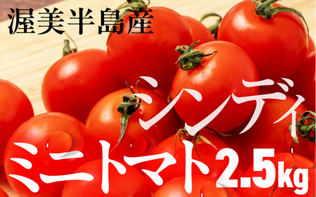 ミディトマト『シンディ』2.5kg |トマト とまと ミディトマト サラダ サンドイッチ 野菜 やさい 贈答 プレゼント 贈り物 甘い おいしい 冬 春 JA 農協 JA愛知みなみ