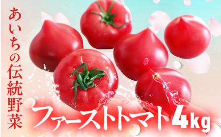 ファーストトマト 4kg |トマト とまと 高糖度 サラダ サンドイッチ 野菜 やさい 大玉 高糖度 贈答 プレゼント 贈り物 甘い おいしい 冬 春 極 JA 農協 JA愛知みなみ ファーストトマト 渥美半島 田原市