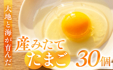 産みたてたまご 30個 ( 割れ保証込み 25個 + 5個 ) 卵 たまご ナガイタマゴ 鶏卵 卵かけごはん 海苔 エサ 赤玉 パック 赤鶏 卵かけご飯 玉子焼き 玉子 国産 新鮮 小分け パック ギフト