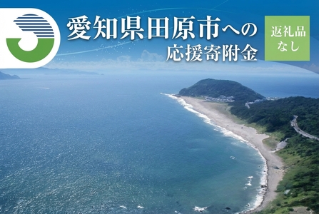 [返礼品なし]愛知県田原市への寄付 3000円分 応援寄附金 応援 選べる 金額 使い道 愛知県 田原市 渥美半島