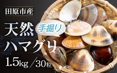 天然手掘りハマグリ 砂抜き不要 天然ハマグリ 手掘り はまぐり ハマグリ 蛤 天然 ダシ 出汁 お吸い物 酒蒸し 焼ハマグリ 魚介 海産物 国産 アサリ 愛知県 田原市 新鮮 砂抜き 海鮮 魚介類 魚介 貝 人気
