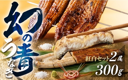 特上 幻の青うなぎ 紅白セット2尾 うなぎ