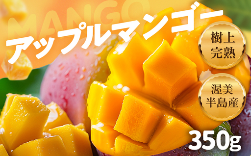 [先行予約]渥美半島産 樹上完熟 アップルマンゴー 350g以上 マンゴー 完熟 甘い 国産 マンゴー 果物 南国 くだもの フルーツ 完熟 夏 旬 特産品 取り寄せ 産地直送 農家直送 甘い 濃厚 愛知県 田原市