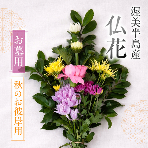 [お彼岸用 秋]産地直送 [お墓用] 仏花 日時指定可 生産額 日本一 田原市 渥美半島 お彼岸 鮮度 生花 お花 お墓まいり