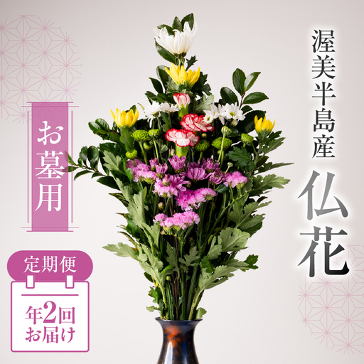 [定期便 年2回]産地直送 [お墓用] 仏花 日時指定可 生産額 日本一 田原市 渥美半島 お彼岸 鮮度 生花 お花 定期便 お墓まいり