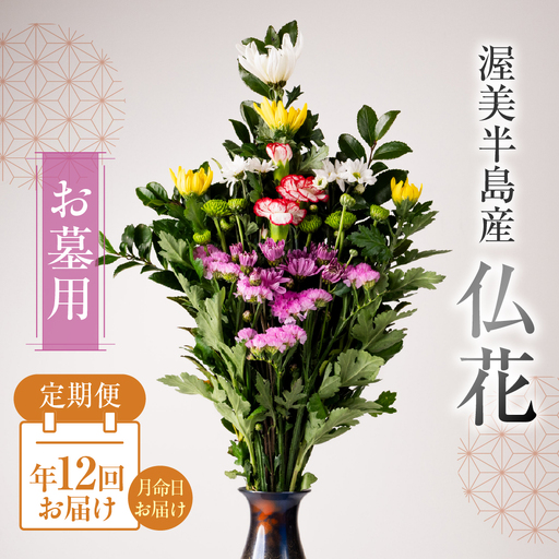 【定期便　年12回】産地直送 《お墓用》 仏花 日時指定可 生産額 日本一 田原市 渥美半島 月命日 お彼岸 お盆 年末 鮮度 生花 お花 定期便 お墓まいり