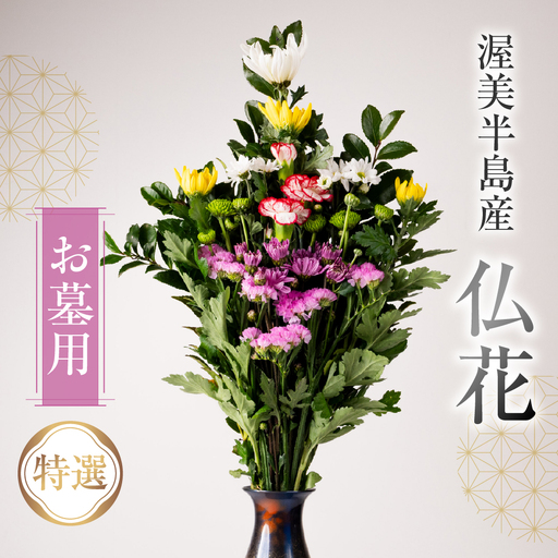 【通常配送 日時指定可】産地直送 《お墓用》 仏花 特選 日時指定可 生産額 日本一 田原市 渥美半島 月命日 お彼岸 鮮度 生花 お花 お墓まいり