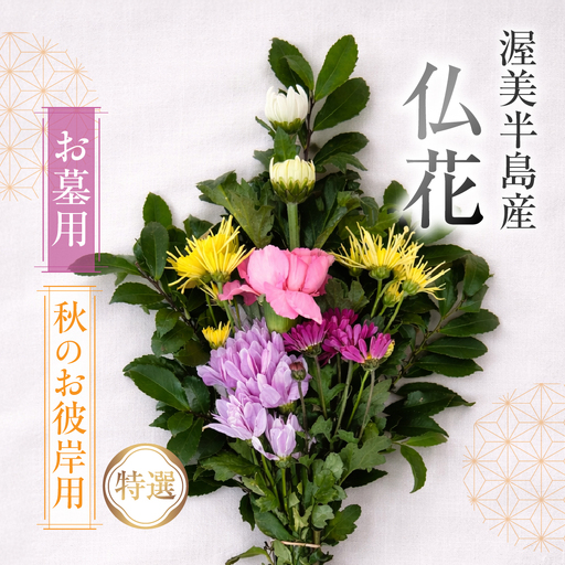 【お彼岸用　秋】産地直送 《お墓用》 仏花 特選 日時指定可 生産額 日本一 田原市 渥美半島 お彼岸 鮮度 生花 お花 お墓まいり