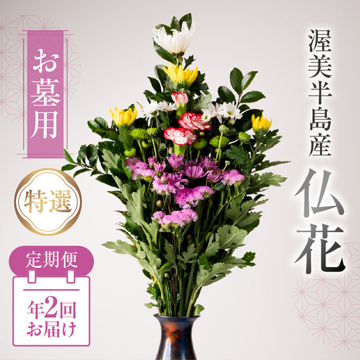 【定期便　年2回】産地直送 《お墓用》 仏花 特選 日時指定可 生産額 日本一 田原市 渥美半島 お彼岸 鮮度 生花 お花 定期便 お墓まいり