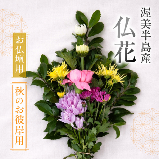 [お彼岸用 秋]産地直送 [お仏壇用] 仏花 日時指定可 生産額 日本一 田原市 渥美半島 お彼岸 鮮度 生花 お花 お墓まいり