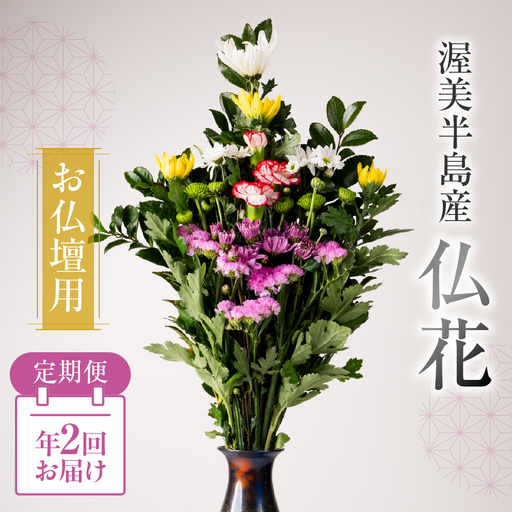 [定期便 年2回]産地直送 [お仏壇用] 仏花 日時指定可 生産額 日本一 田原市 渥美半島 お彼岸 鮮度 生花 お花 定期便 お墓まいり