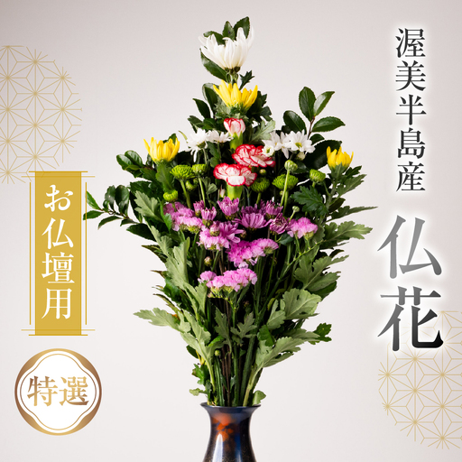 【通常配送 日時指定可】産地直送 《お仏壇用》 仏花 特選 日時指定可 生産額 日本一 田原市 渥美半島 月命日 お彼岸 鮮度 生花 お花 お墓まいり