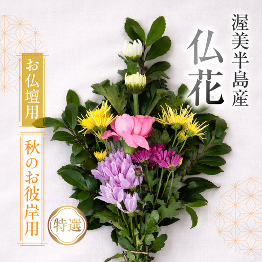 【お彼岸用　秋】産地直送 《お仏壇用》 仏花 特選 日時指定可 生産額 日本一 田原市 渥美半島 お彼岸 鮮度 生花 お花 お墓まいり