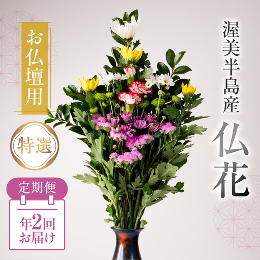 【定期便　年2回】産地直送 《お仏壇用》 仏花 特選 日時指定可 生産額 日本一 田原市 渥美半島 お彼岸 鮮度 生花 お花 定期便 お墓まいり