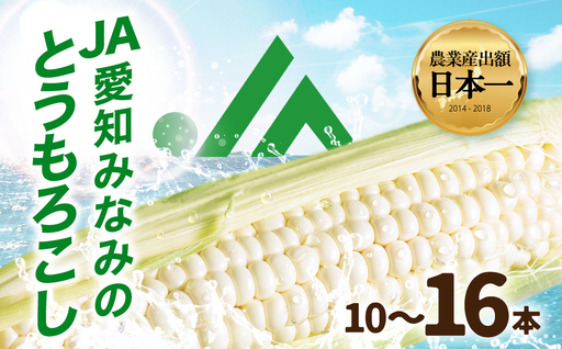 [先行予約] 朝採り新鮮 とうもろこし 10本〜16本 (4L〜L) ホワイト トウモロコシ コーン 黄色 白色 白とうもろこし JA愛知みなみ 新鮮 朝採り 早朝 甘い ジューシー 産地直送