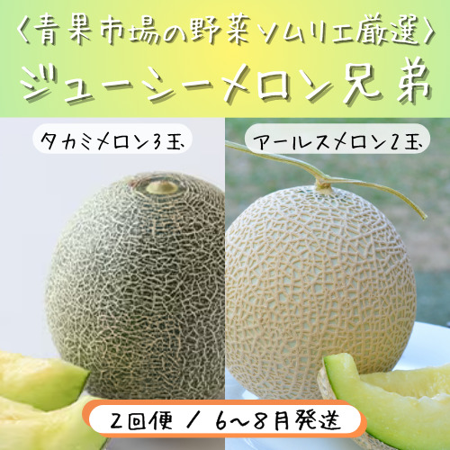 青果市場の野菜ソムリエ厳選 ジューシー メロン 2兄弟 定期便 全2回