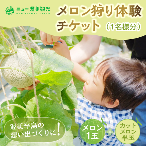 [先行予約]メロン狩り体験チケット メロン めろん