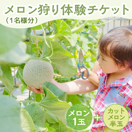 [ 先行予約 ]マルカ農園 メロン狩りチケット メロン