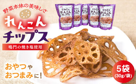 蓮根チップス 30g×5P [清水食品株式会社] れんこんチップ 野菜 愛知県産 野菜 産地直送 愛西市/ 清水食品株式会社[AEAJ003]