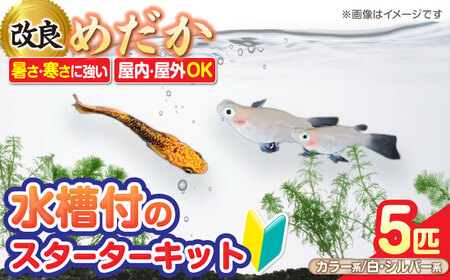 メダカ スターターキットアクアリュウムタワーブラック[AEAK005]メダカメダカメダカメダカメダカメダカ