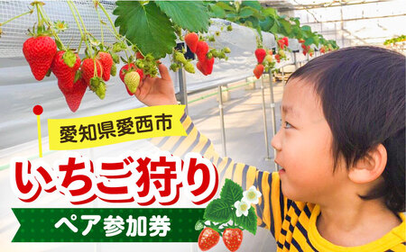  40Hו yAQ     Hו s / LЃ}Ct[AEBN001]