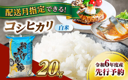 ＼選べる配送月/コシヒカリ 白米 20kg 愛西市/脇野コンバイン 令和6年 新米 愛知県 こしひかり ブランド米 銘柄米 お米 こめ コメ ご飯 ごはん お弁当 おにぎり 先行予約 [AECP023]