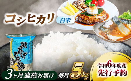 [3回定期便]コシヒカリ 白米 5kg×3回 愛西市 / 脇野コンバイン 令和6年 新米 愛知県 こしひかり ブランド米 銘柄米 お米 こめ コメ ご飯 ごはん お弁当 おにぎり 小分け 先行予約 [AECP024]