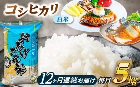 �y12�����ցz�R�V�q�J�� ���� 5kg×12���� / �e��R���o�C��[AECP026]