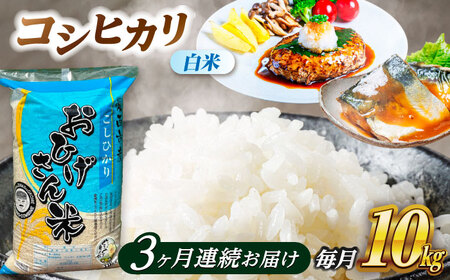 【3回定期便】コシヒカリ 白米 10kg×3か月 / 脇野コンバイン[AECP027]