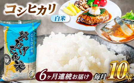 �y6�����ցz�R�V�q�J�� ���� 10kg×6���� / �e��R���o�C��[AECP028]