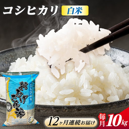 【12回定期便】コシヒカリ 白米 10kg×12か月 / 脇野コンバイン[AECP029]