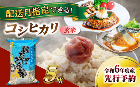 ＼選べる配送月/コシヒカリ 玄米 5kg / 脇野コンバイン 令和6年 新米 愛知県 こしひかり ブランド米 銘柄米 お米 こめ コメ ご飯 ごはん お弁当 おにぎり 小分け 先行予約 [AECP030]