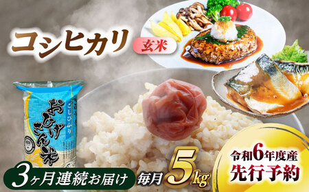 [3回定期便]コシヒカリ 玄米 5kg×3回 愛西市 / 脇野コンバイン 令和6年 新米 愛知県 こしひかり ブランド米 銘柄米 お米 こめ コメ ご飯 ごはん お弁当 おにぎり 小分け 先行予約 [AECP033]