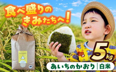 [先行予約/10月より順発送] [令和7年度産 新米 ]あいちのかおり 米 白米 5kg [AECS001]