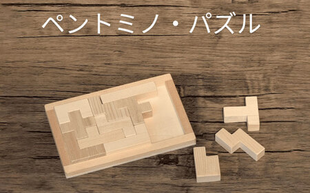 木製 ブロック パズル ペントミノ 知育 玩具[AECK002]