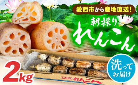_N10菇^_̂^ 􂢂񂱂 2kg R @ Yn  s / ROR yzBsFz[AEBK005]
