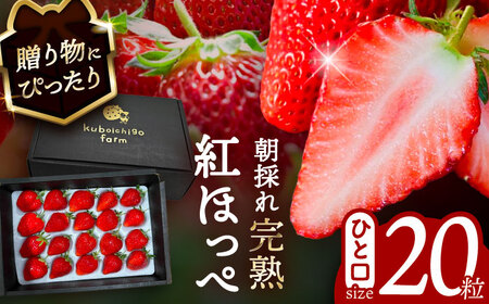 ys\z _N12菇^ gق 20  ʕ t[c s / 䕔_ yzBsFkCEEz[AECJ009]