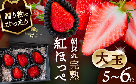 ys\z _N12菇^  gق 5~6x  ʕ t[c s / 䕔_ yzBsFkCEEz[AECJ011]