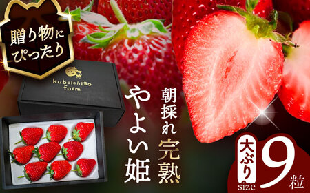 ys\z _N12菇^ 悢P 9  t[c ʕ s / 䕔_ yzBsFkCEEz[AECJ012]