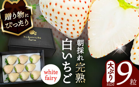 ys\z _N1菇^ @White Fairy 9 s / 䕔_ yzBsFkCEEz[AECJ016]