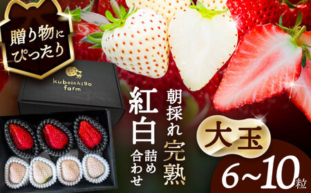 ys\z _N1菇^ qʁr  lߍ킹@gقor悢P×White Fairy ʕ C`S t[c s / 䕔_ yzBsFkCEEz[AECJ019]