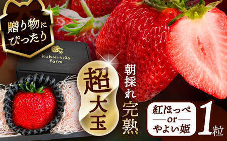 ys\z _N12菇^  gقor悢P 1 ʕ  t[c s / 䕔_ yzBsFkCEEz[AECJ020]