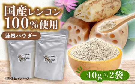 れんこん パウダー 2袋 蓮根 粉末[配達不可:離島][AEAO011]