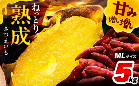 さつまいも 5kg / 焼き芋 焼きいも 紅はるか シルクスイート あまはづき 野菜 愛西市 / 川口農園[AEDH001]